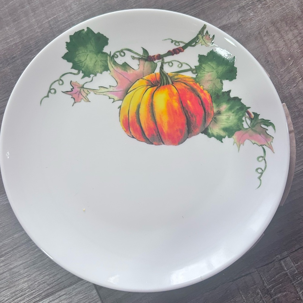 ALDI Crofton Harvest Plates Set of 4 Pumpkin on a Vine 8-1/2” Plates damaged box